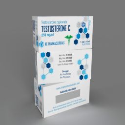 Testosterone C