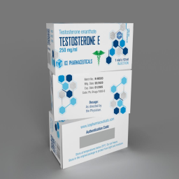 Testosterone E